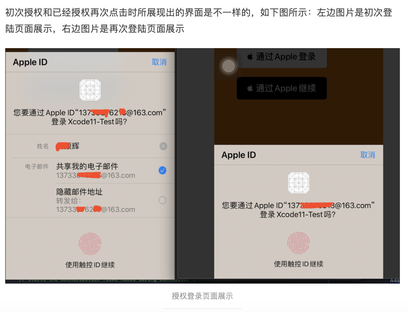 苹果展示的授权界面