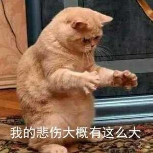 前端精髓于2020-04-01 18:53发布的图片