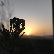 林间一木的个人资料头像