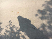 Lee的个人资料头像