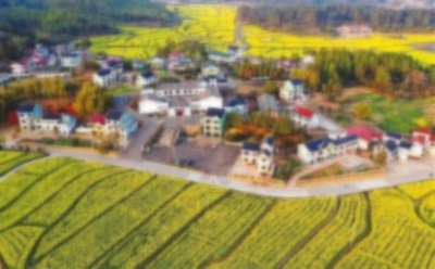 模糊效果