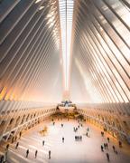 Blake1484225832291的个人资料头像