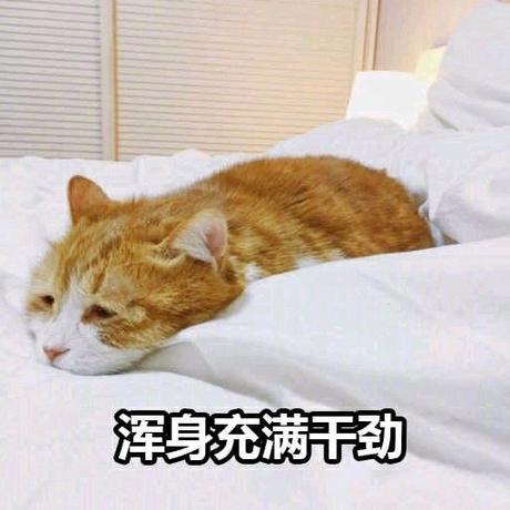 铜锣烧铁锤于2020-04-10 23:58发布的图片