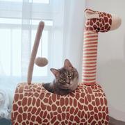 菜心儿的个人资料头像