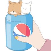 不二258的个人资料头像