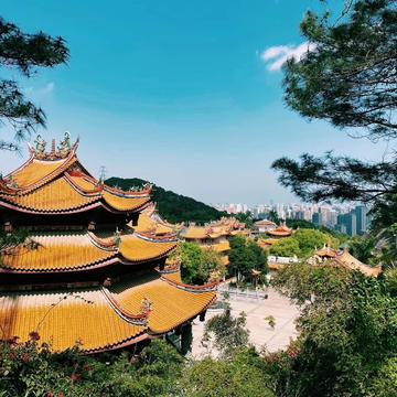 幸福的小米虫于2020-04-12 17:45发布的图片