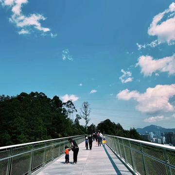 幸福的小米虫于2020-04-12 17:45发布的图片