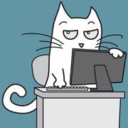 codetest2020的个人资料头像