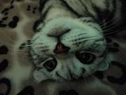 今夜私奔的个人资料头像