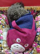 多乐的个人资料头像