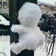 xiaoyiyiyo的个人资料头像