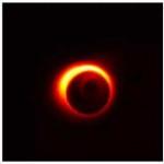 王渝钦的个人资料头像