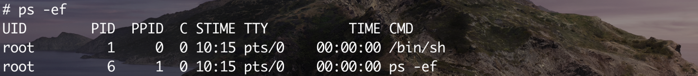 容器内进程视图