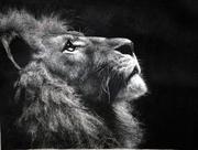 请你喝82年的矿泉水的个人资料头像