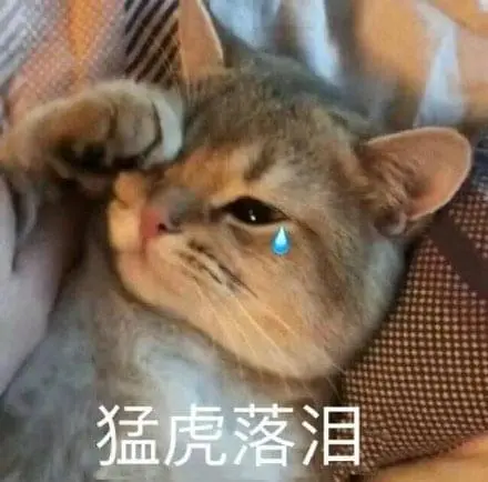 cry.jpg