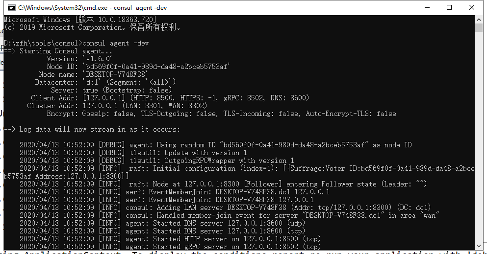 consul-cmd