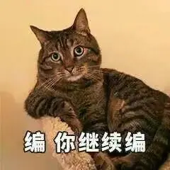 继续编