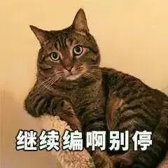 继续编