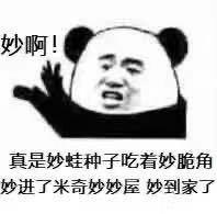 妙啊