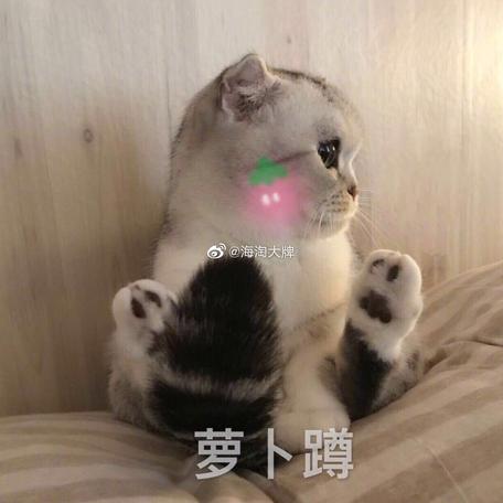 巍MG于2020-04-15 21:01发布的图片