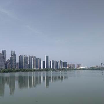远方的戈多于2020-04-16 14:06发布的图片