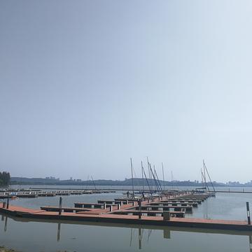 远方的戈多于2020-04-16 14:06发布的图片