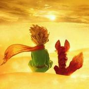 小王子的大星球的个人资料头像