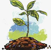 进击的树芽的个人资料头像