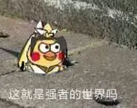这就是强者的世界吗