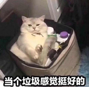 SAKO的个人资料头像