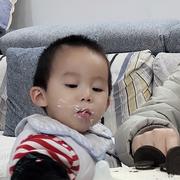 牛顿的苹果树的个人资料头像