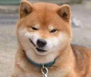 我能点一份烤茄子吗的个人资料头像