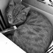 和铃的个人资料头像