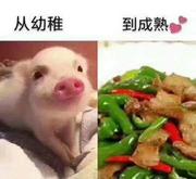 easy_small_ma的个人资料头像