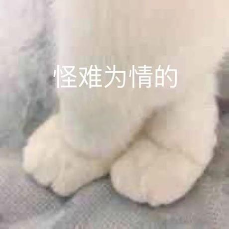 有鱼是只猫于2020-04-02 06:42发布的图片