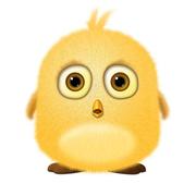 bling的小胡的个人资料头像