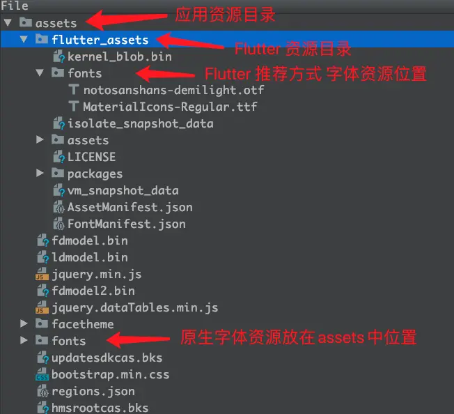 Assets 目录结构