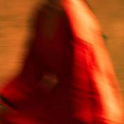 EloseAva的个人资料头像