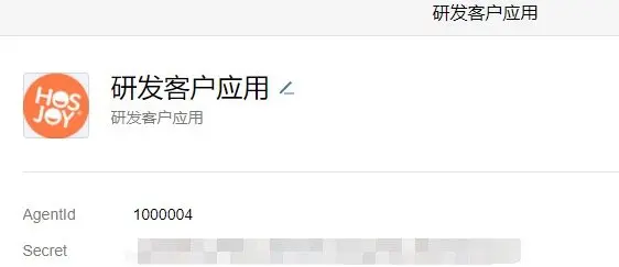 自建应用详情