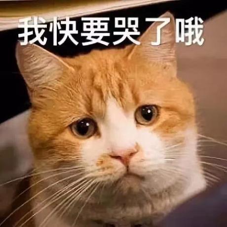 幸福的小米虫于2020-04-20 09:41发布的图片