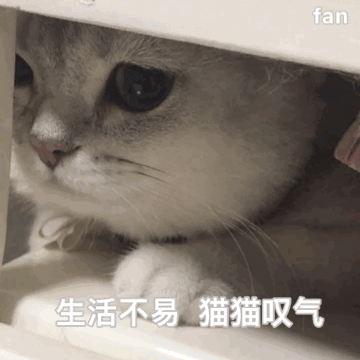 pp酱于2020-04-20 11:47发布的图片