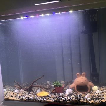 天天敲代码于2020-04-21 19:22发布的图片