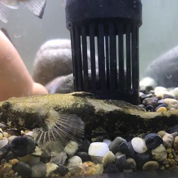 天天敲代码于2020-04-21 19:22发布的图片