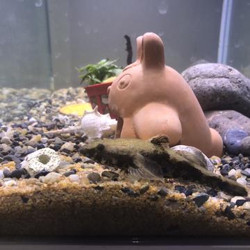 天天敲代码于2020-04-21 19:22发布的图片