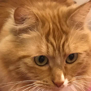 棉小花的个人资料头像