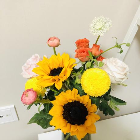 养一只月亮于2020-04-21 20:37发布的图片