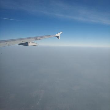 瑞本尊105017于2020-04-21 23:46发布的图片