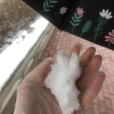 葡萄柚柚于2020-04-22 08:45发布的图片