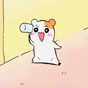 Nacy的个人资料头像