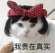 团子yaa的个人资料头像